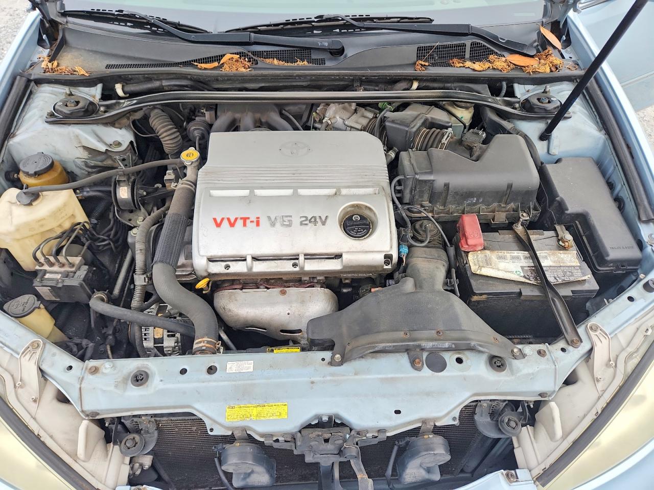 Toyota Camry Xle V6