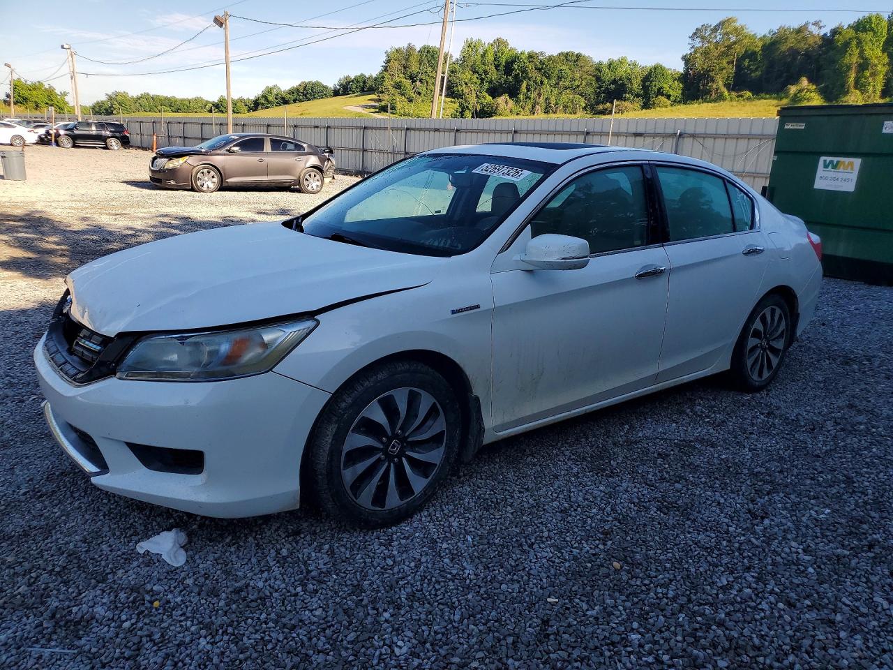 Salvage Honda Accord Image