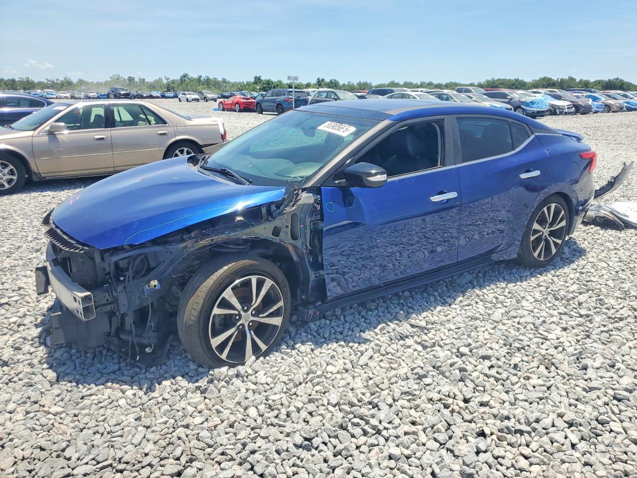 Salvage Nissan Maxima Image