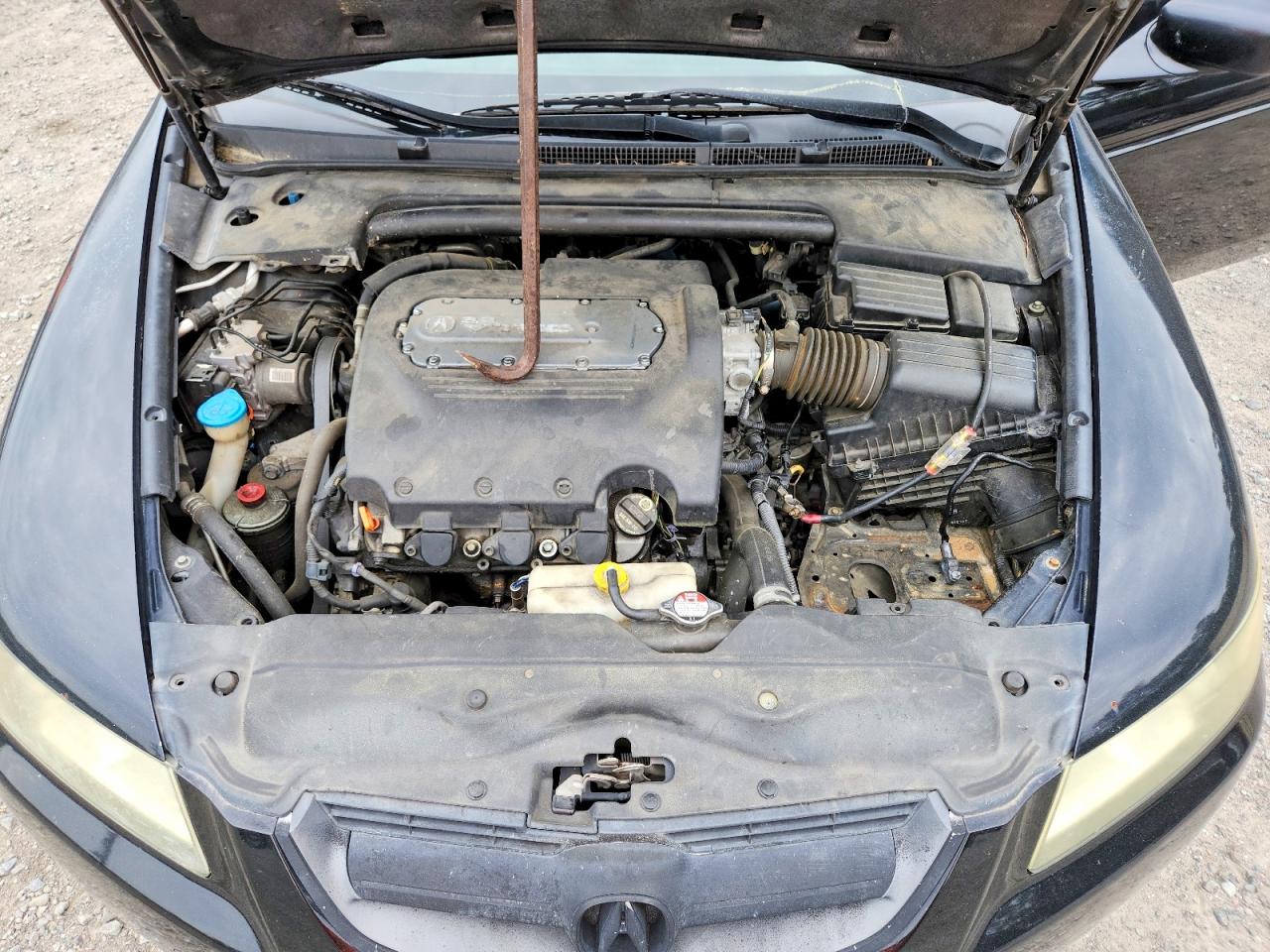 Acura TL
