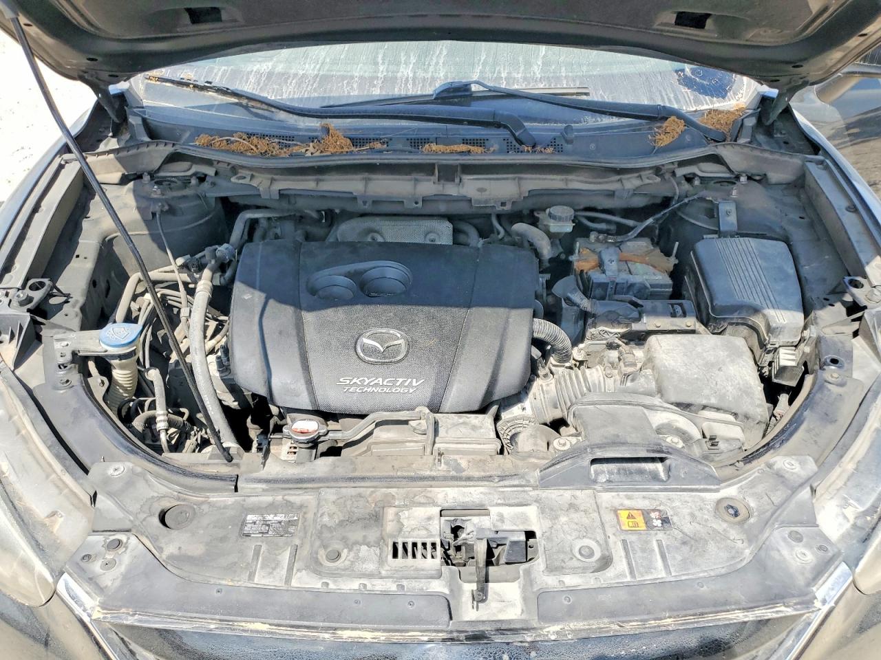 Mazda Cx Sport