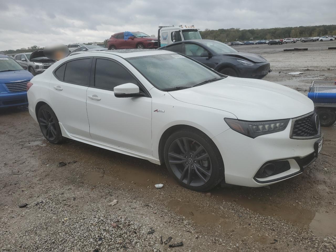 Acura TLX Tech+a