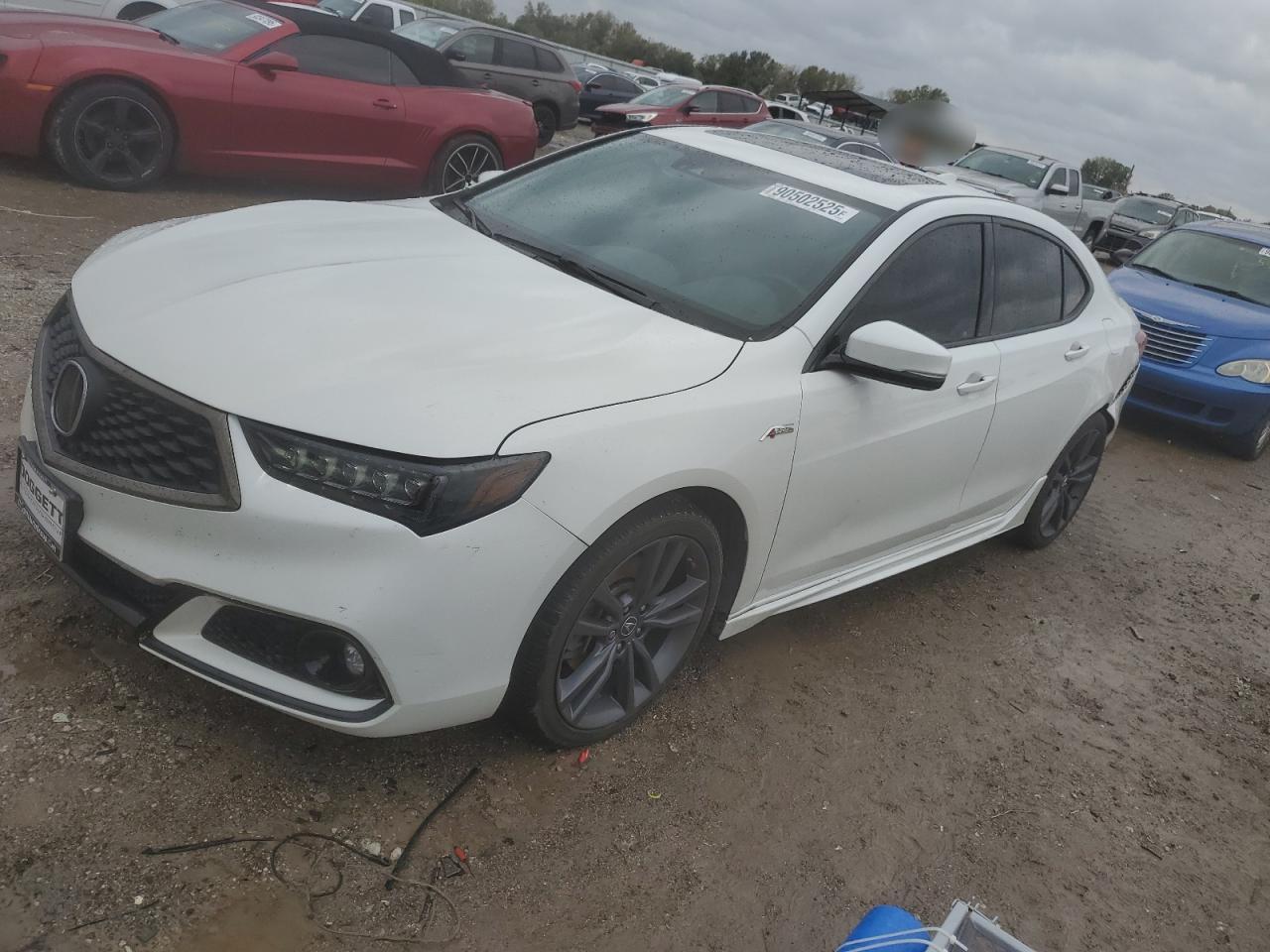 Salvage Acura TLX Image