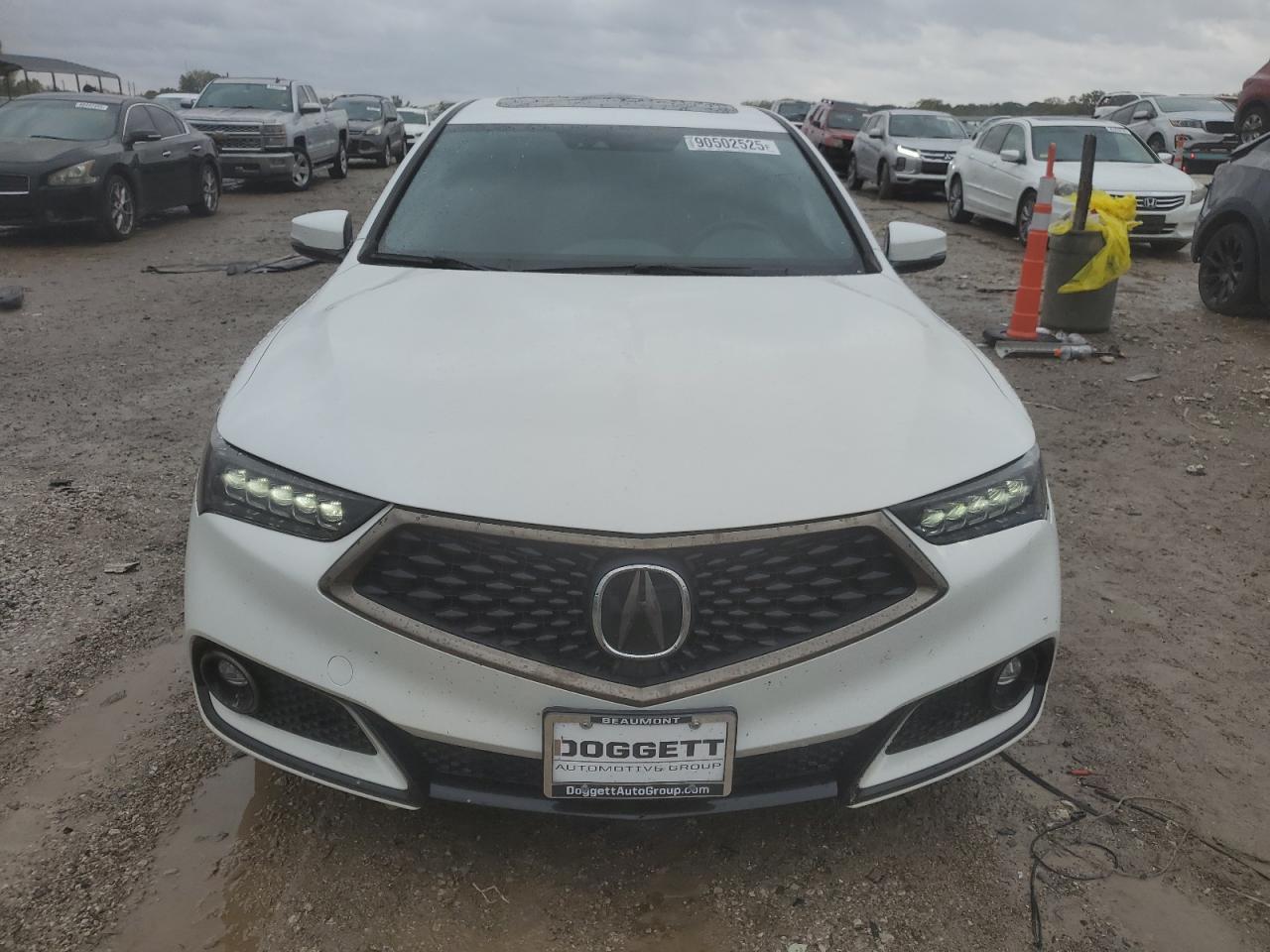 Acura TLX Tech+a