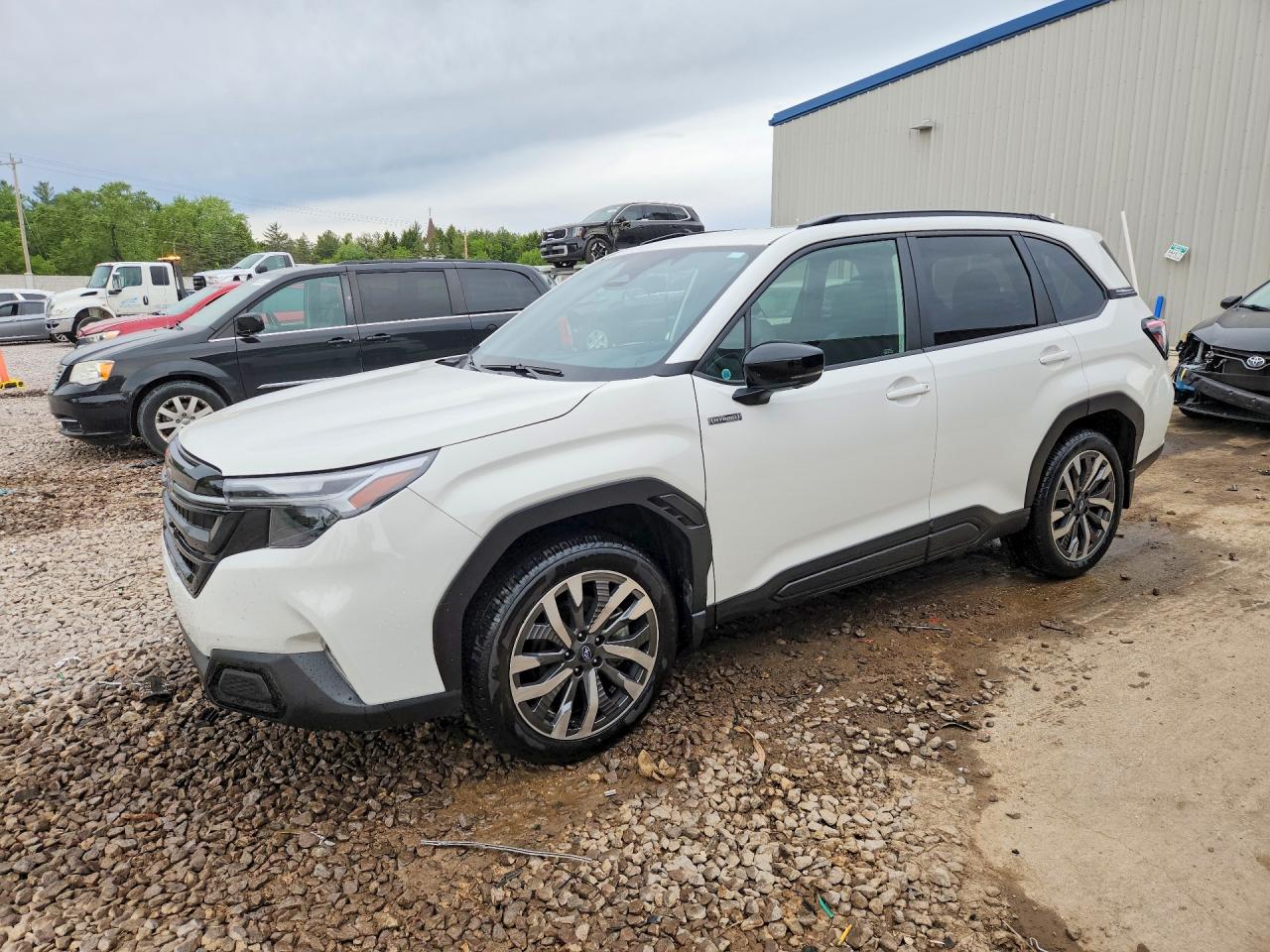 Salvage Subaru Forester Image
