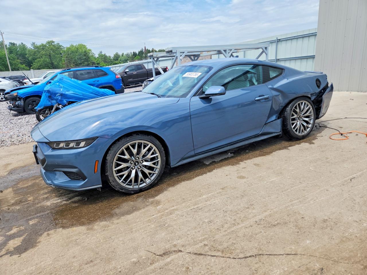 Salvage Ford Mustang Image
