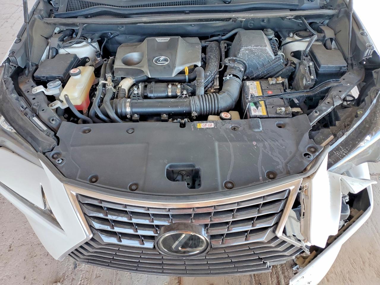 Lexus NX Base