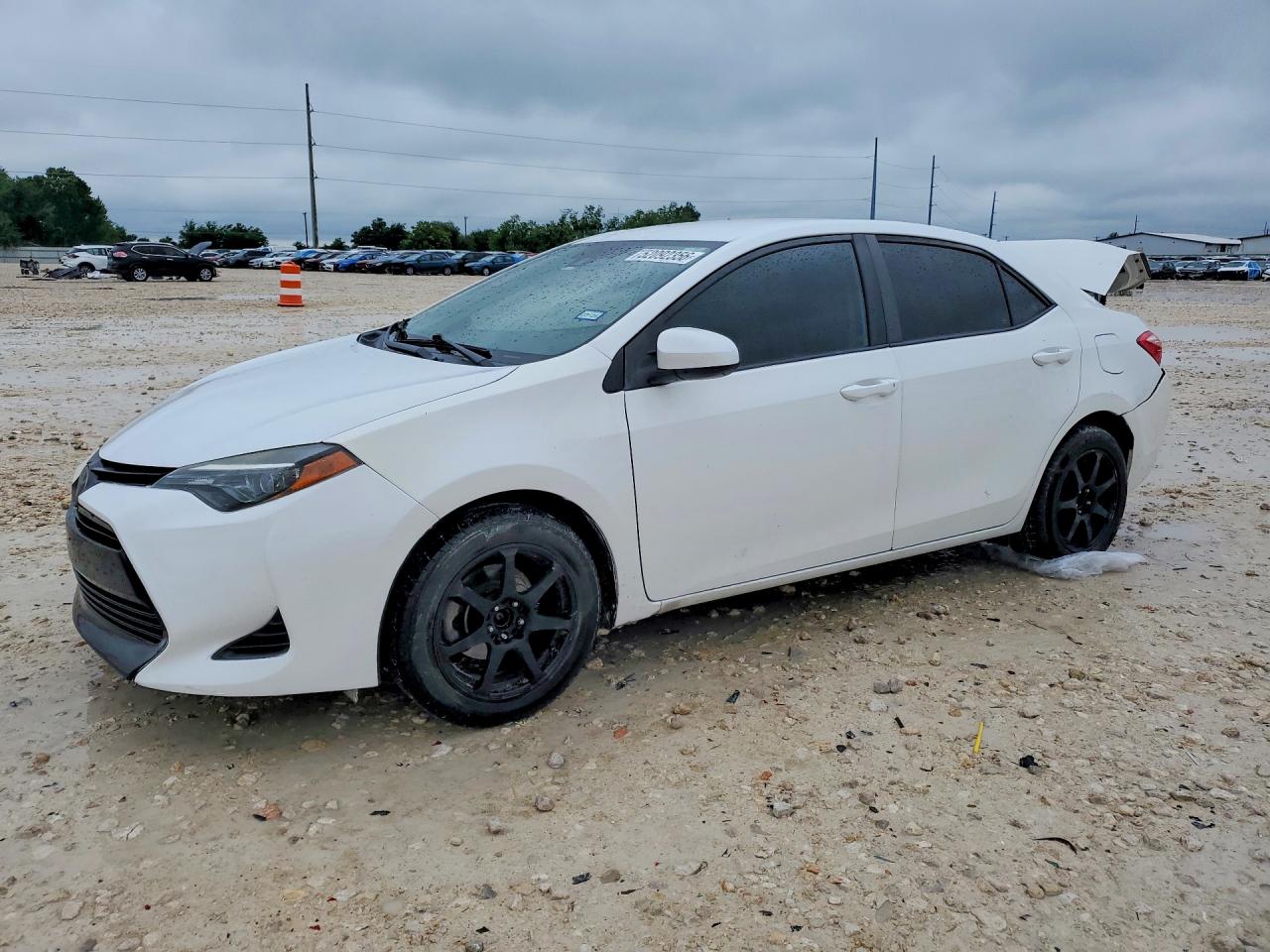 Salvage Toyota Corolla Image