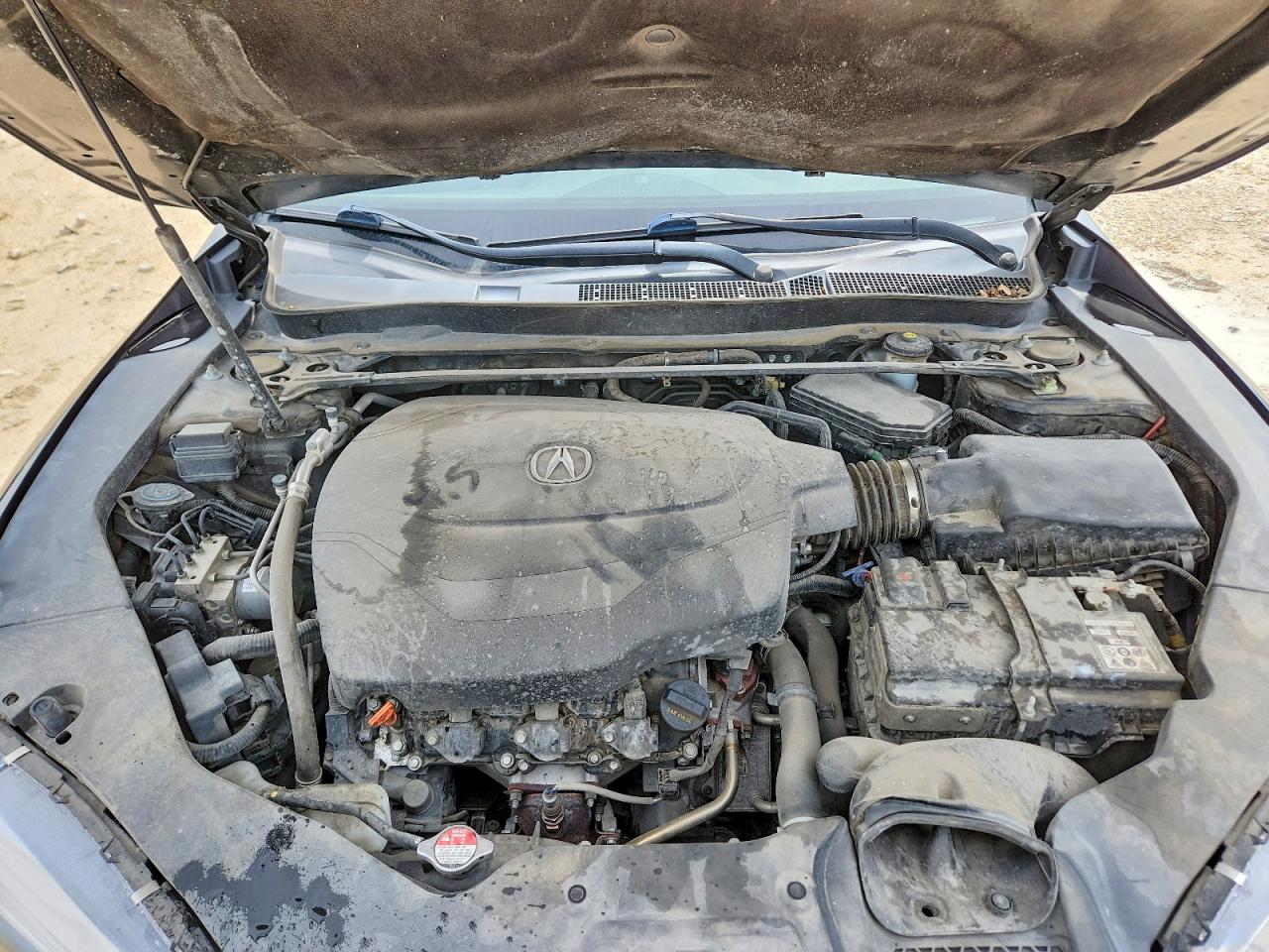 Acura TLX Tech