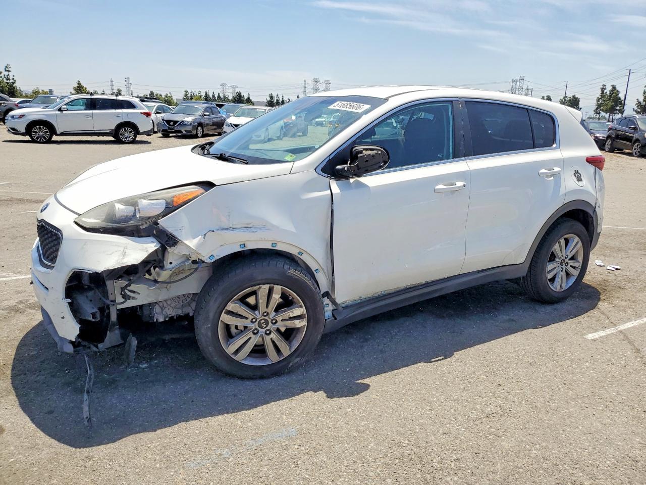 Salvage Kia Sportage Image