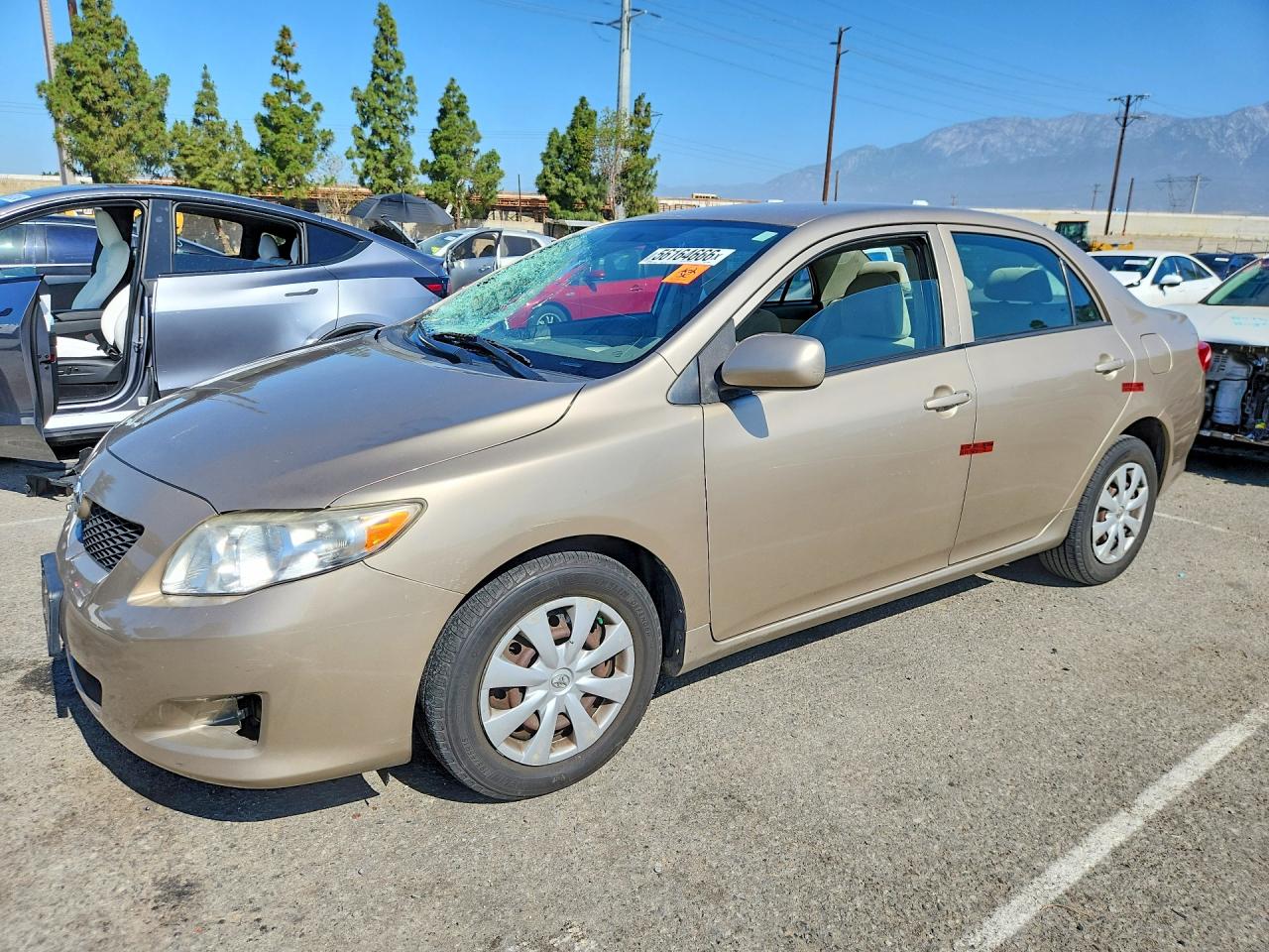 Salvage Toyota Corolla Image
