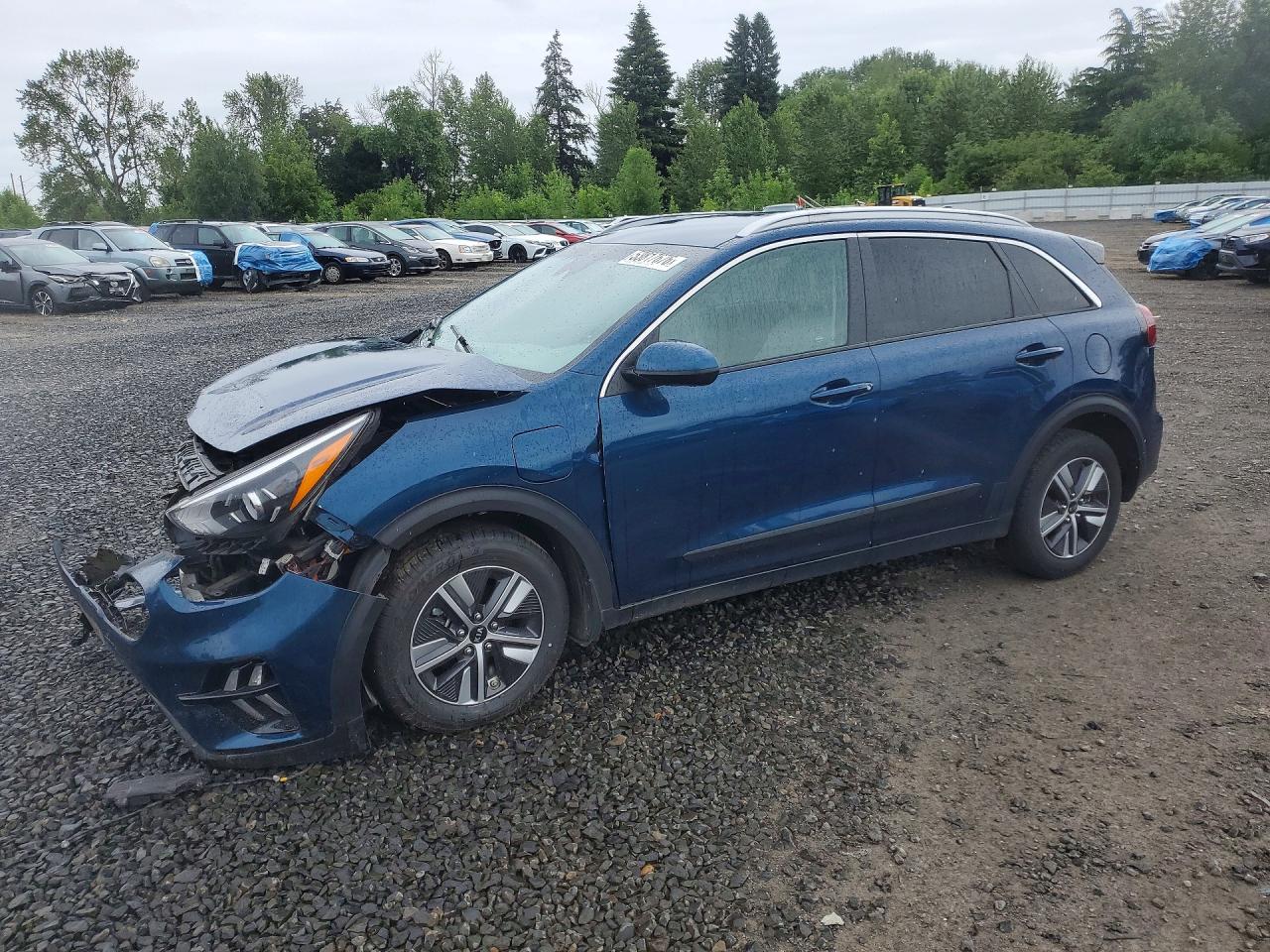 Salvage Kia Niro Image