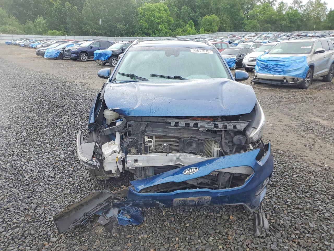 Kia Niro Lxs
