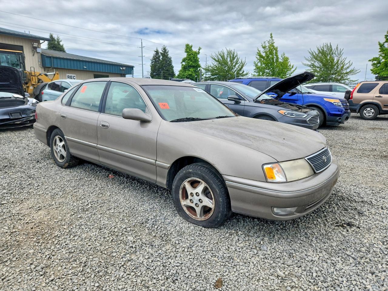 Toyota Avalon Xls