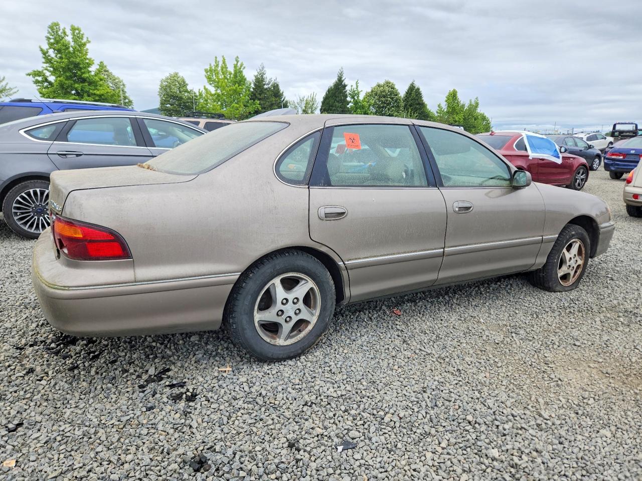 Toyota Avalon Xls