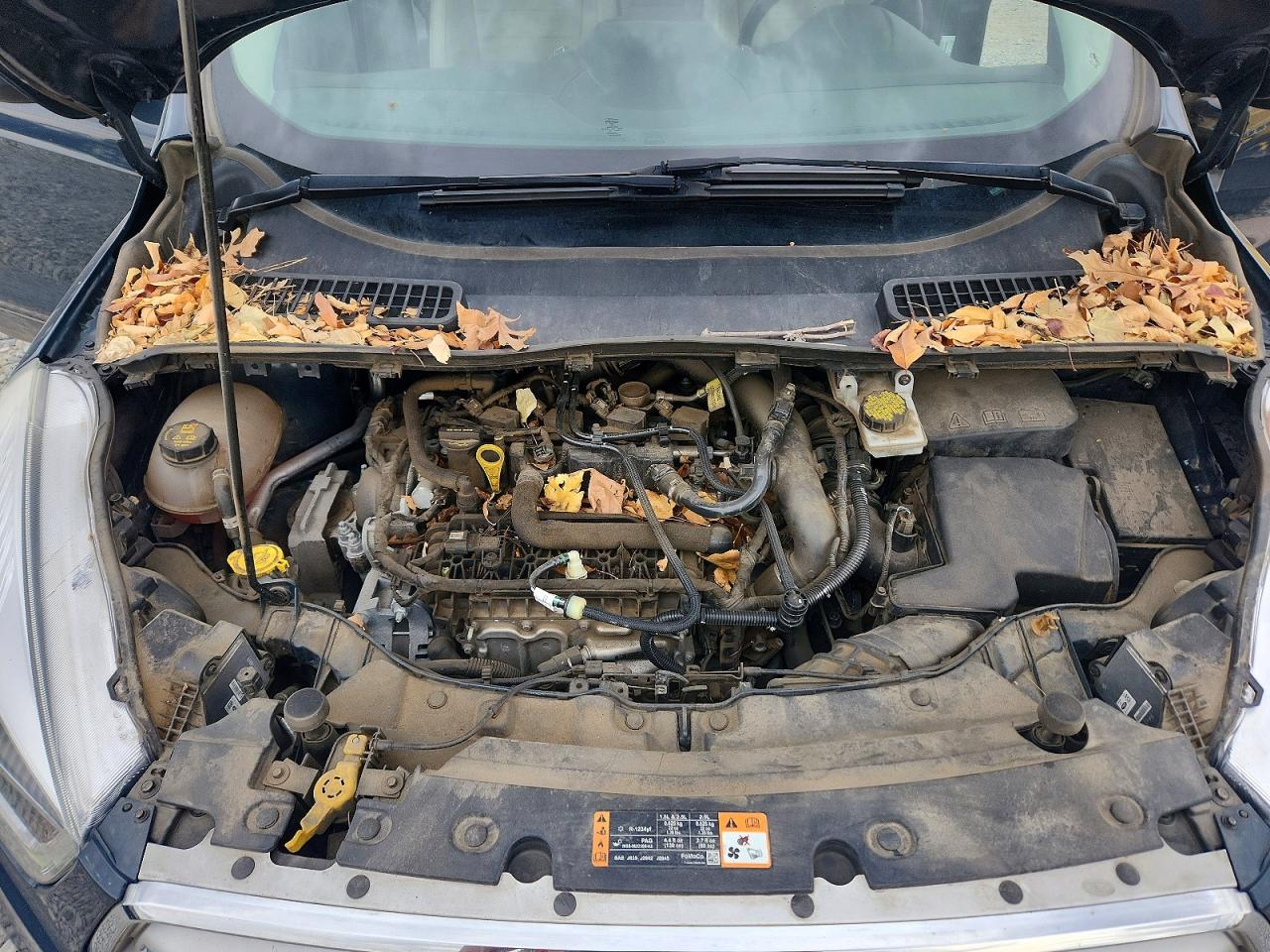 Ford Escape