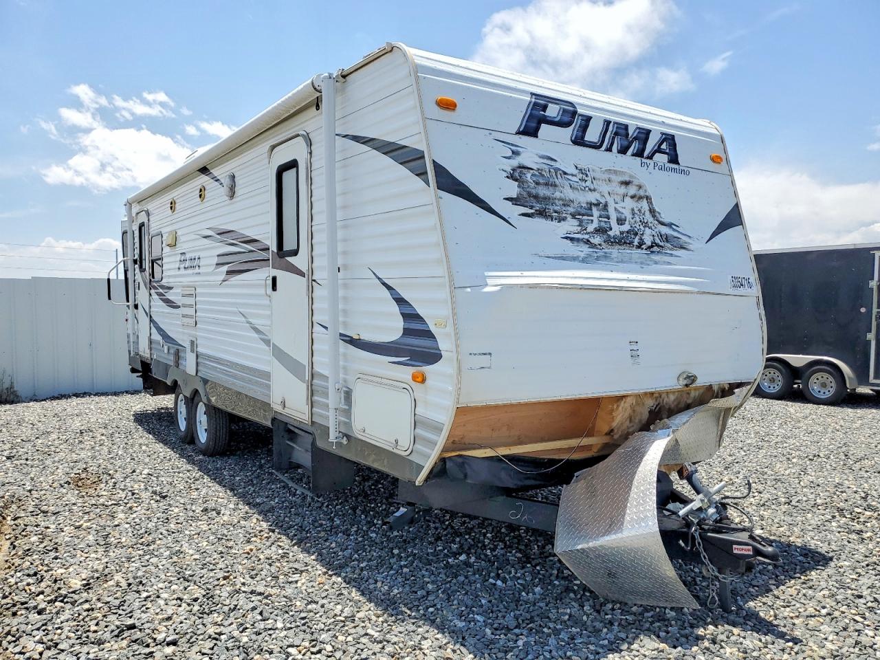 Salvage Puma Palomino Image