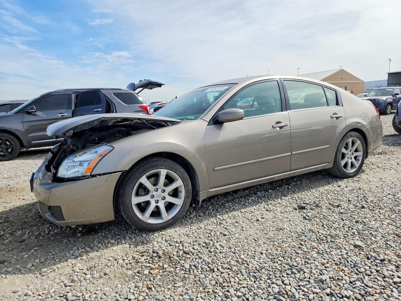 Salvage Nissan Maxima Image