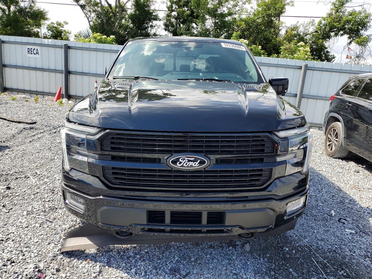 Ford F-150 Platinum