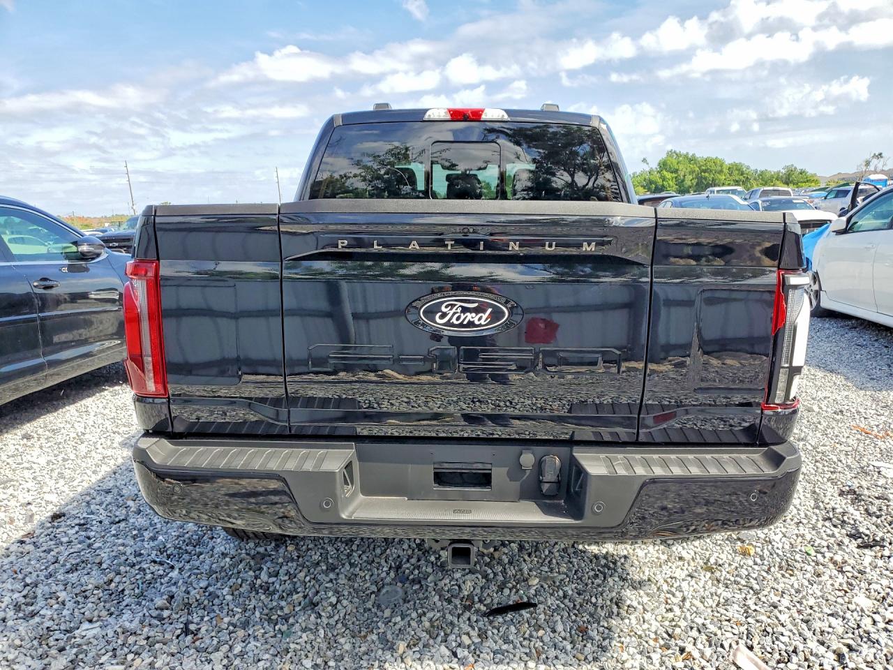Ford F-150 Platinum