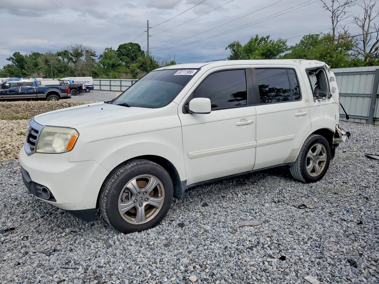 Salvage Honda Pilot Image
