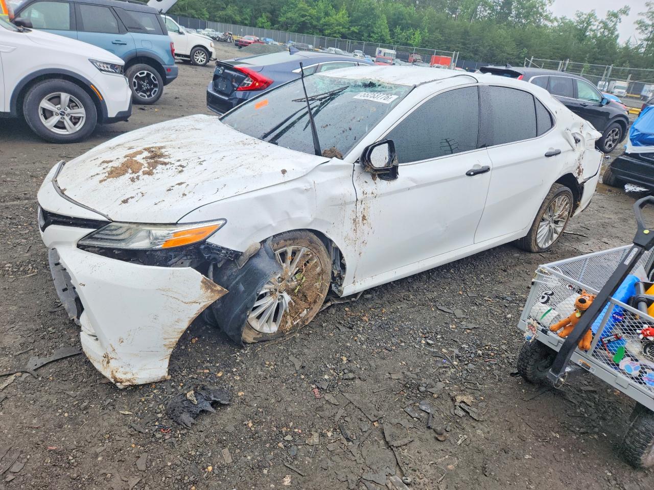 Salvage Toyota Camry Image