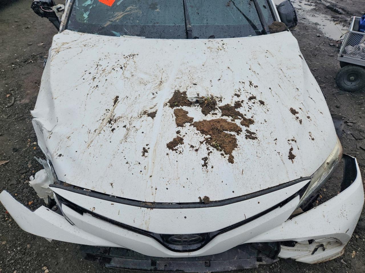 Toyota Camry Xle