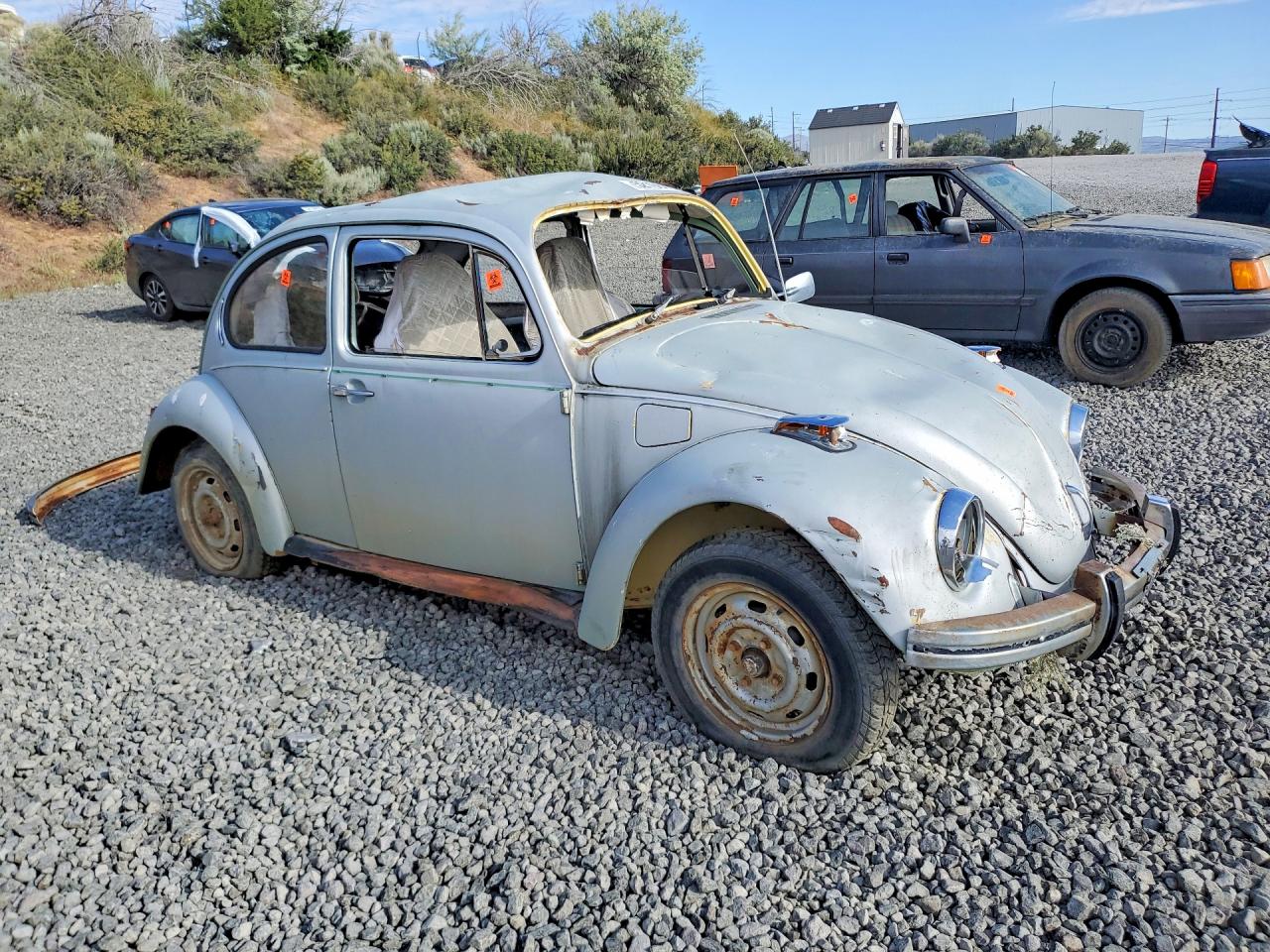 Volkswagen Beetle