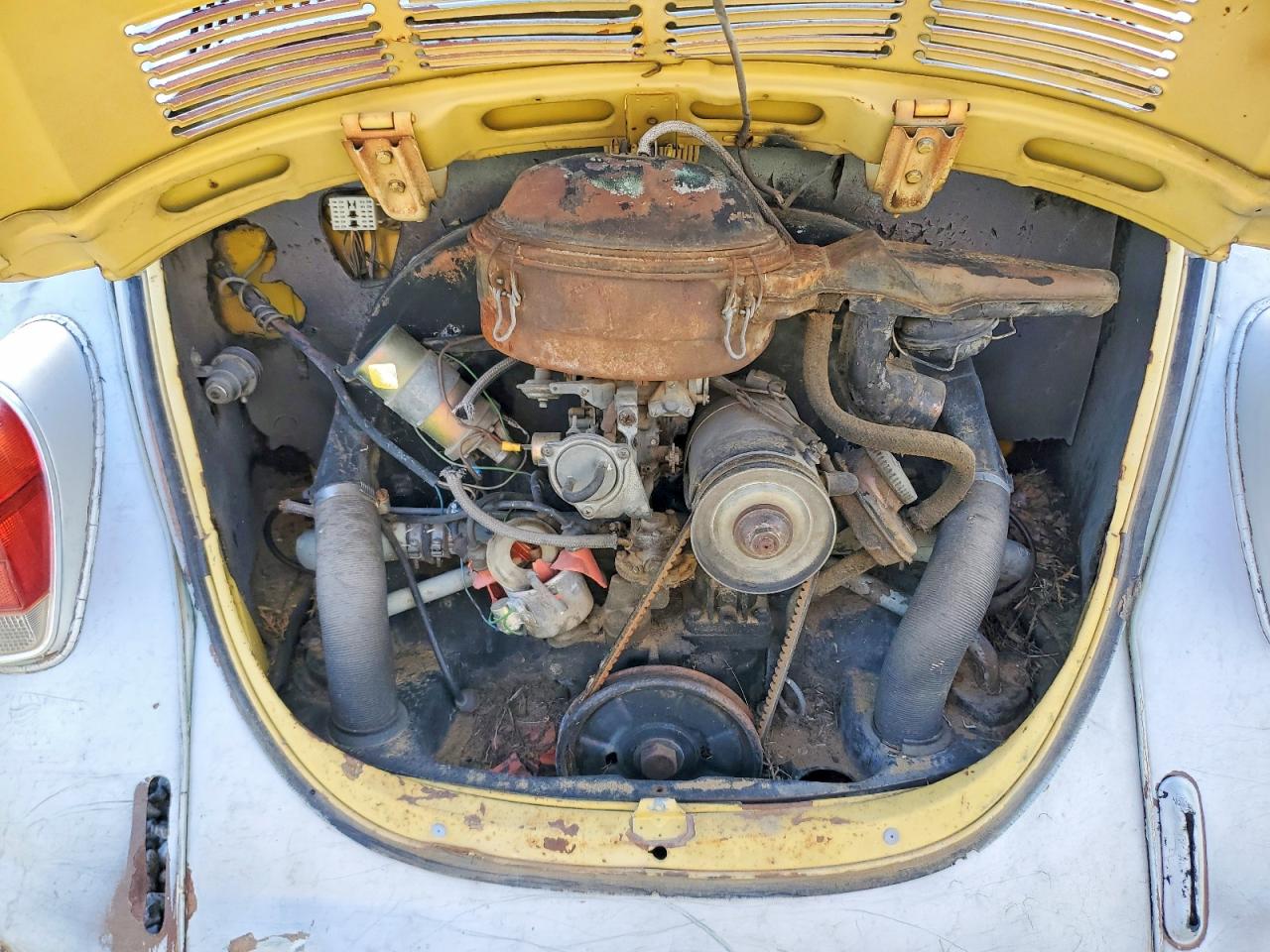 Volkswagen Beetle