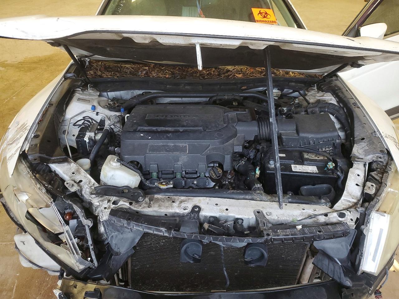 Honda Crosstour Exl