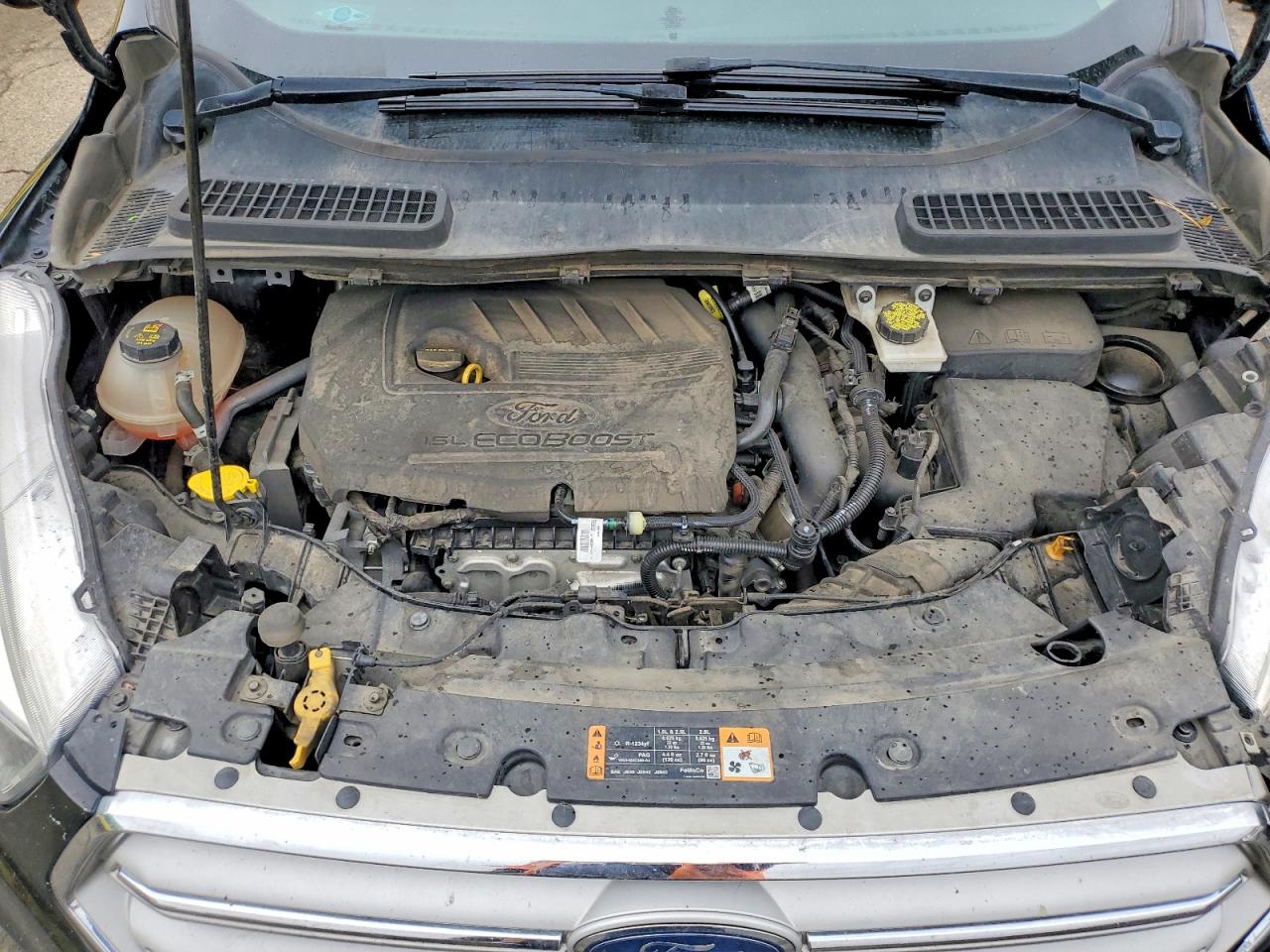 Ford Escape Se