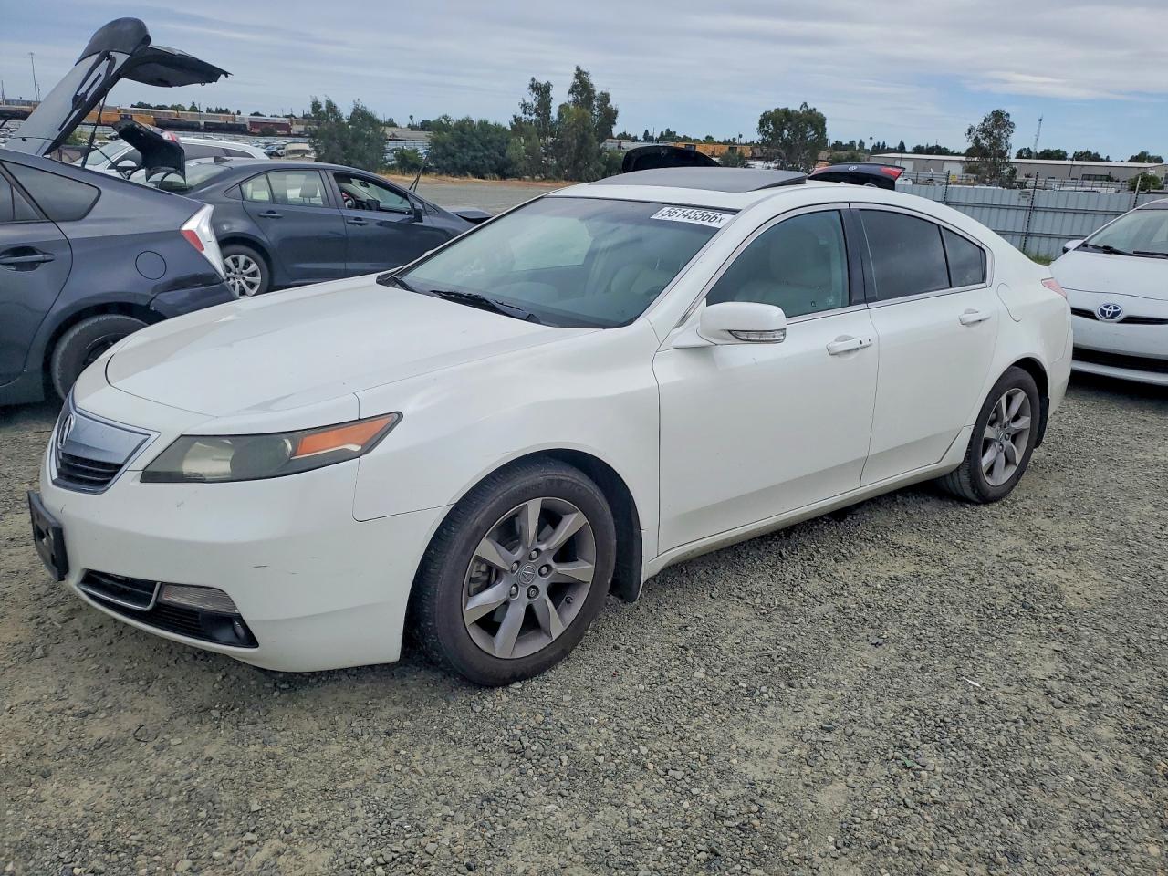 Salvage Acura TL Image