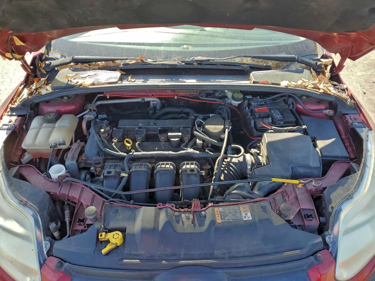 Ford Focus Se