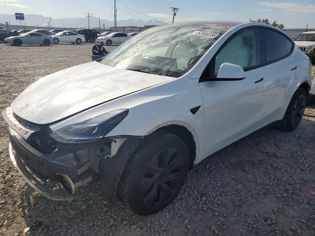 Salvage Tesla Model Y Image