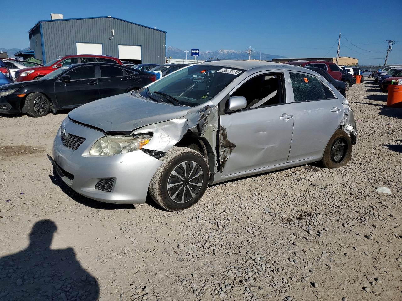 Salvage Toyota Corolla Image