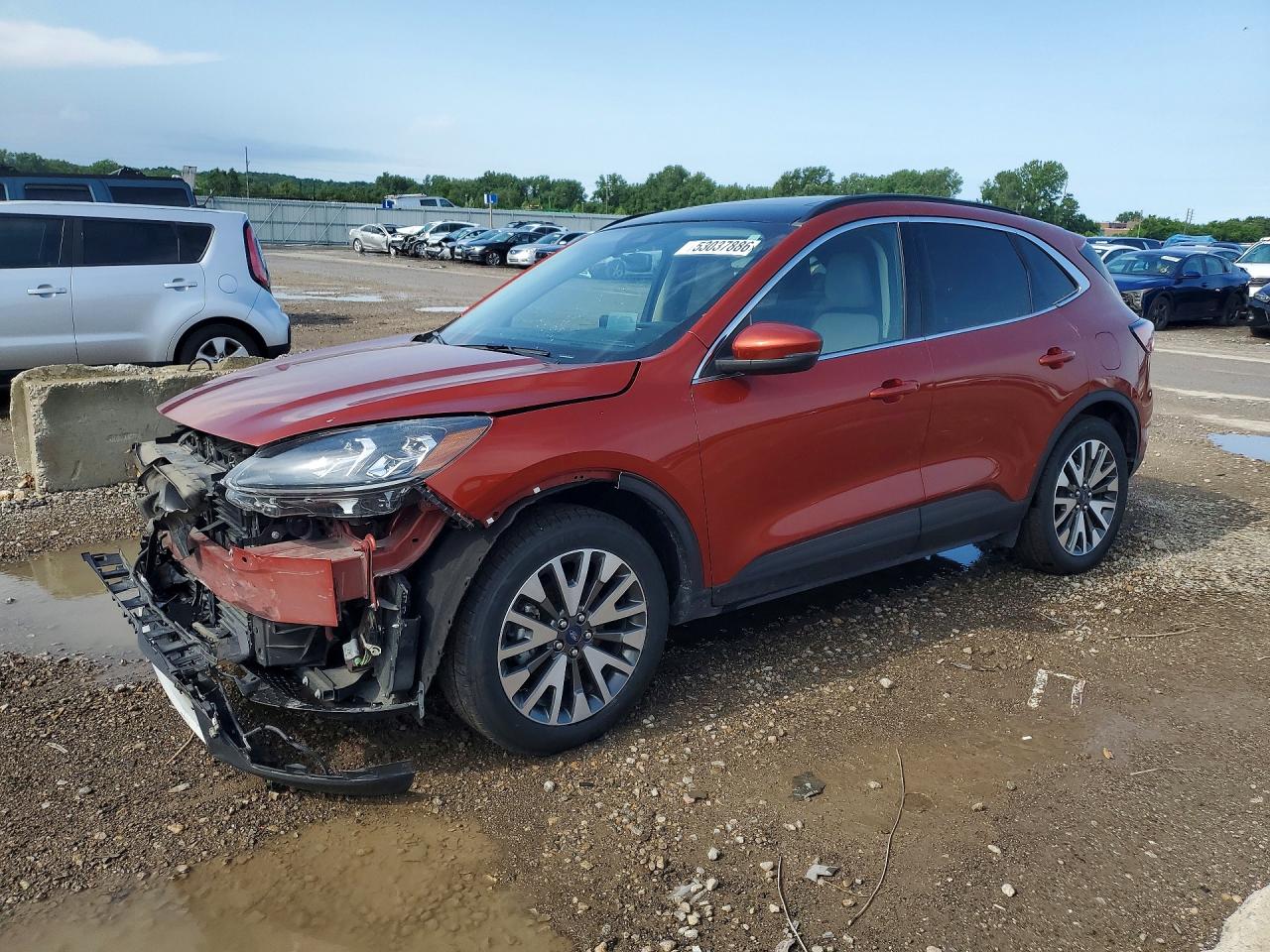 Salvage Ford Escape Image
