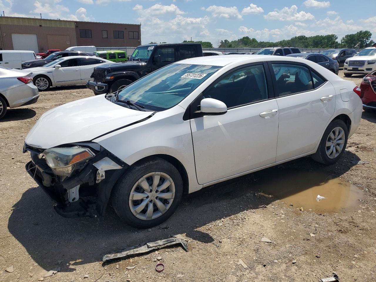 Salvage Toyota Corolla Image