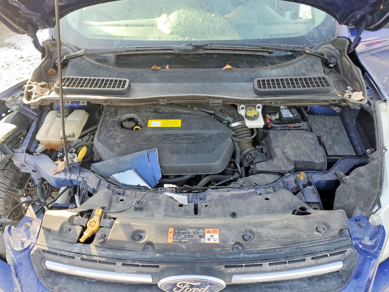Ford Escape Se