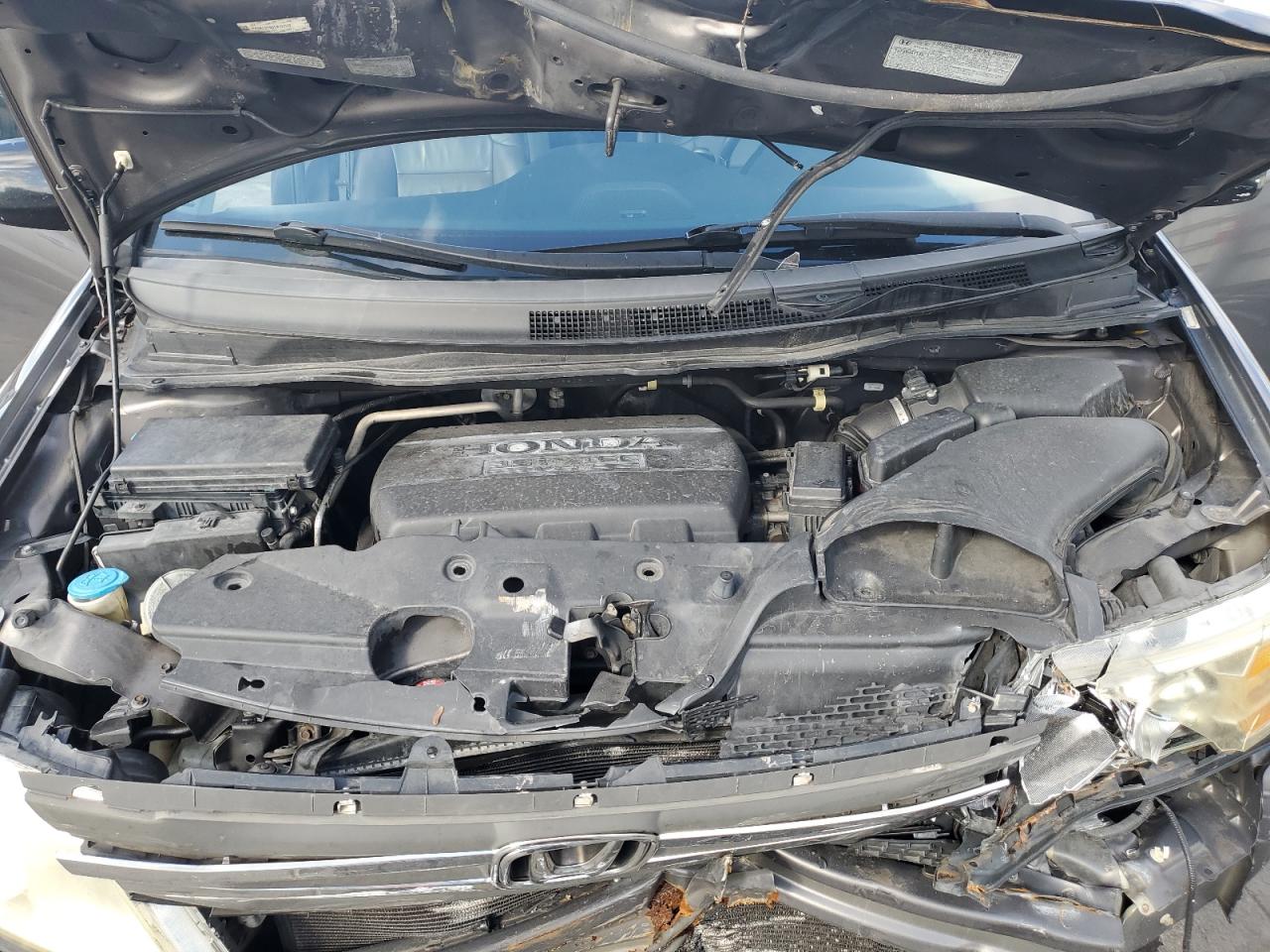 Honda Odyssey Exl