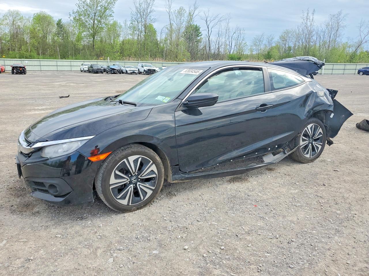Salvage Honda Civic Image