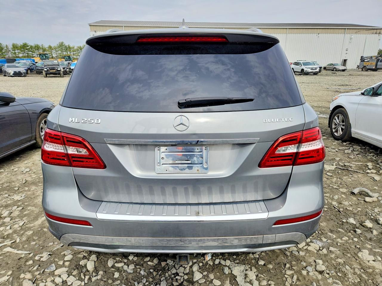 Mercedes-Benz M-Class 250 Bluetec
