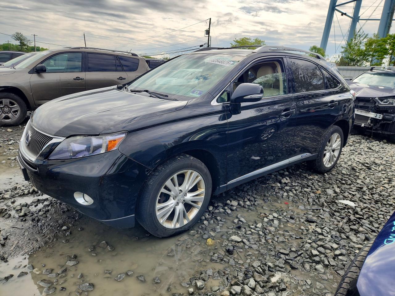 Salvage Lexus RX Image
