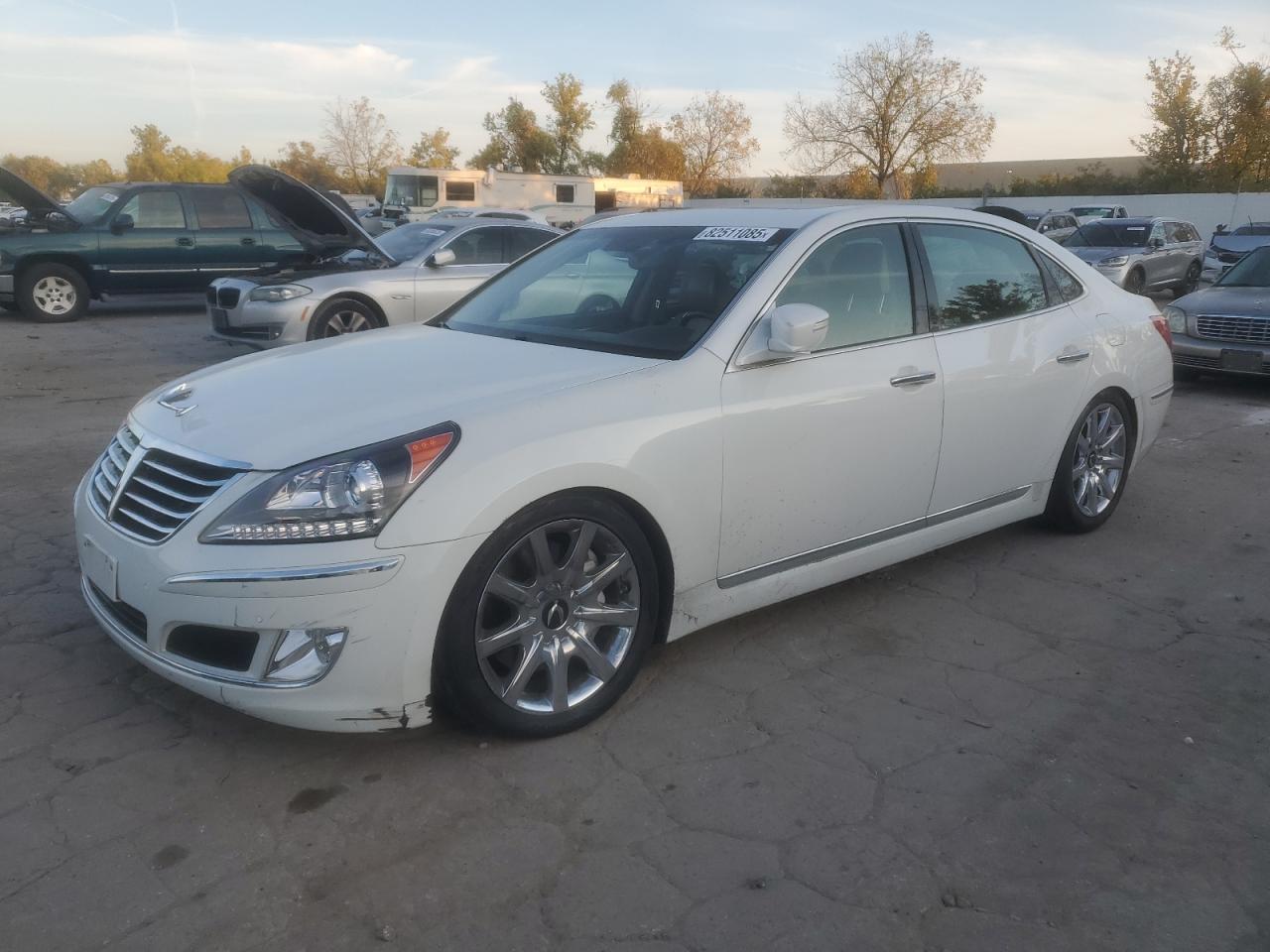 Salvage Hyundai Equus Image