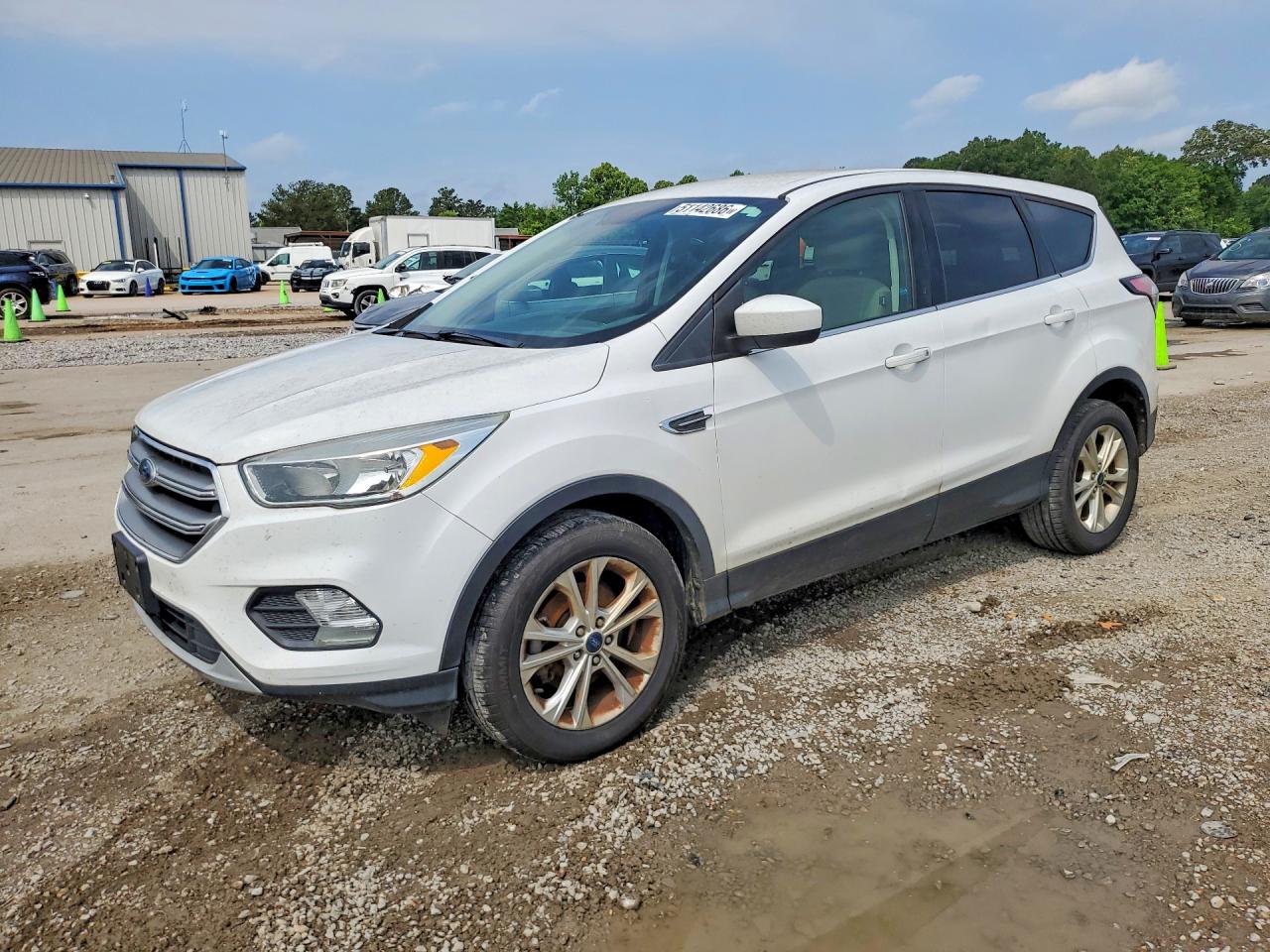 Salvage Ford Escape Image