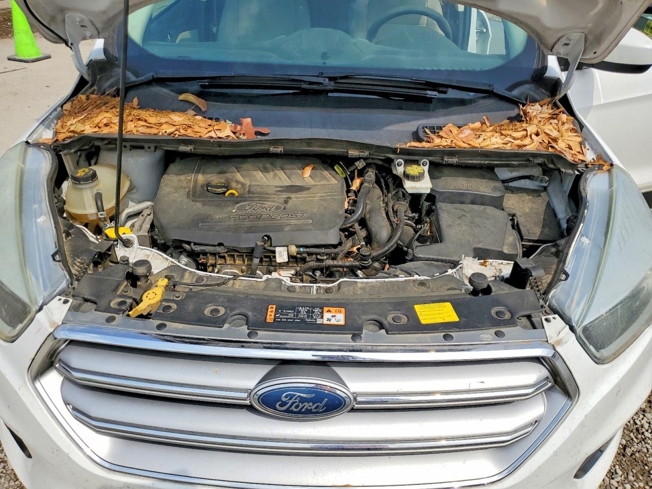 Ford Escape Se