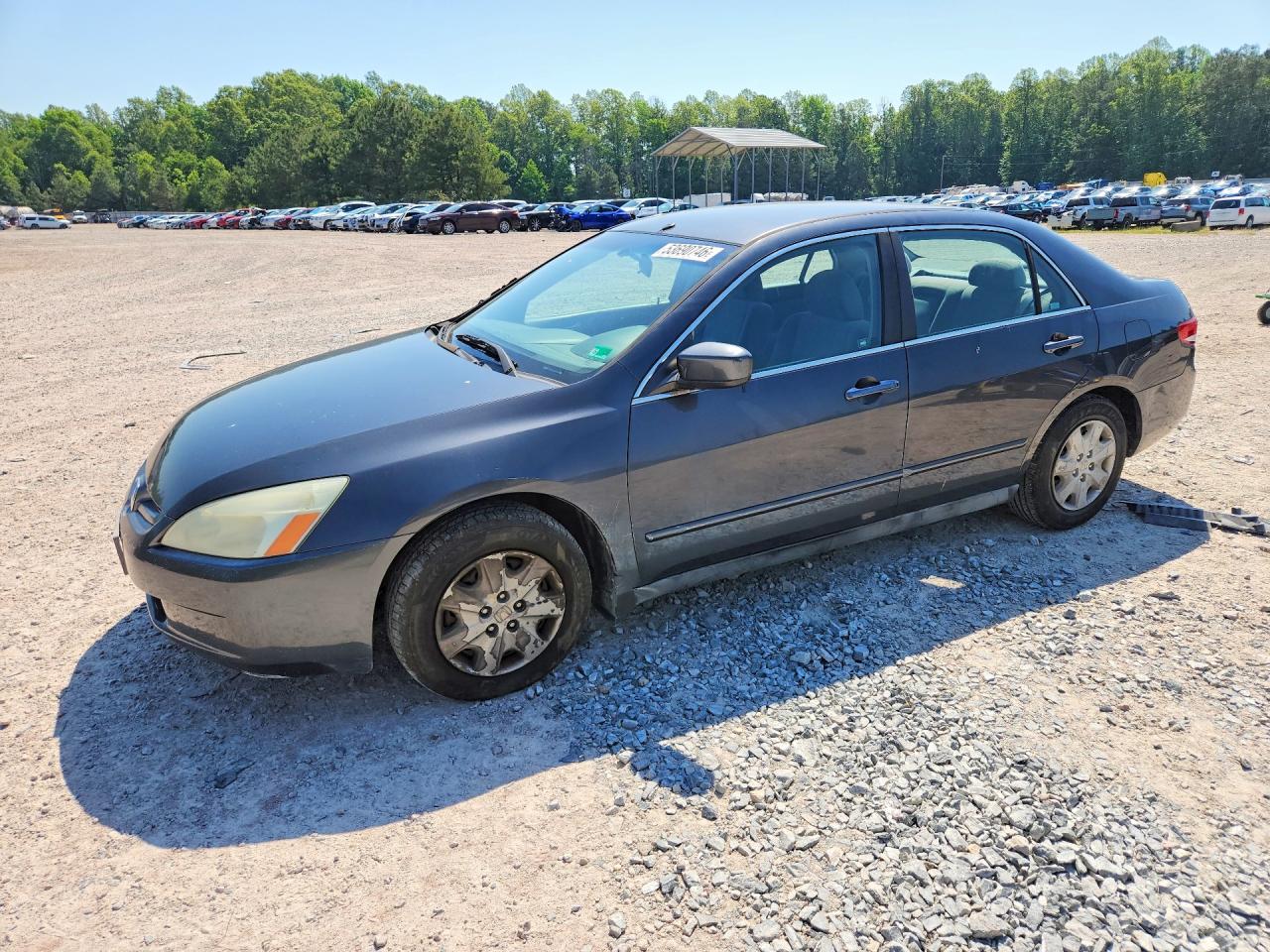 Salvage Honda Accord Image