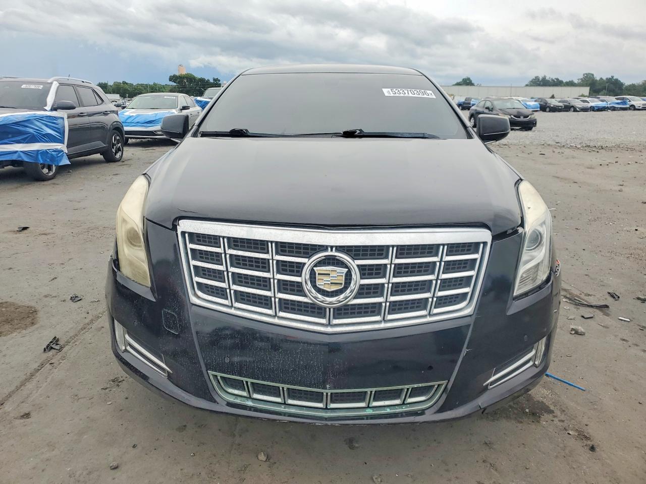 Cadillac XTS Luxury Collection