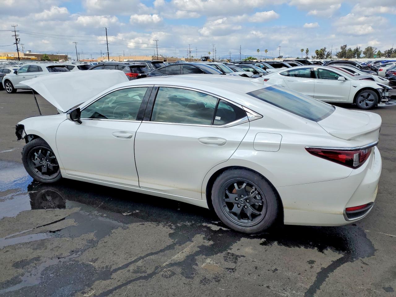 Lexus Es Luxury