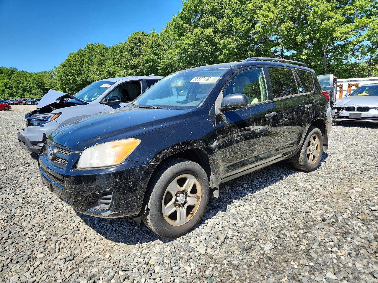 Salvage Toyota RAV4 Image