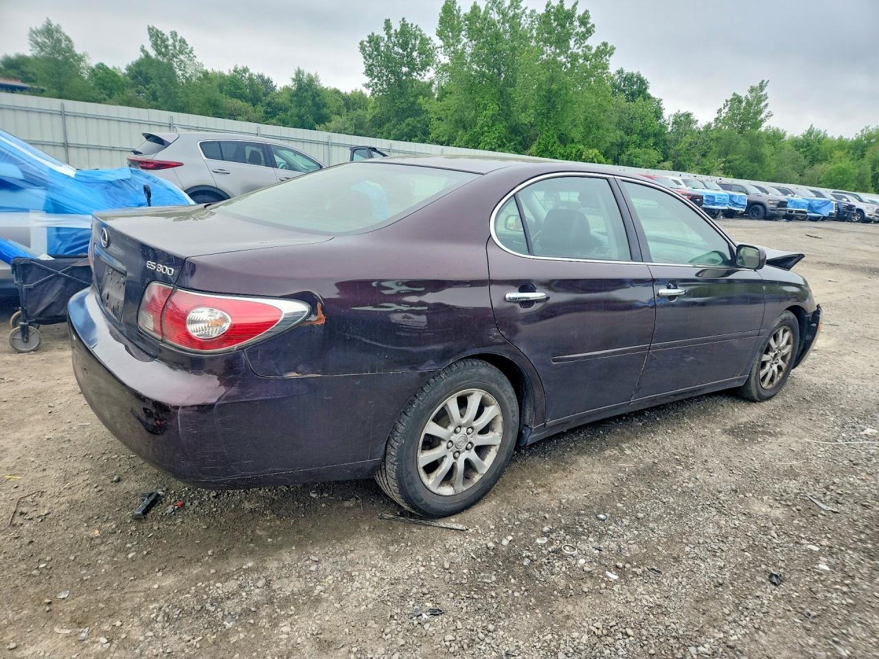 Lexus Es 300